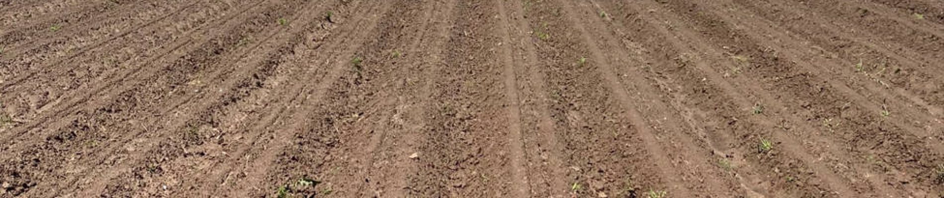 A field without crops ready for pre-emergence herbicide applications to place before crops emerge. Proper application helps provide a good competition-free environment for crops to begin their development.